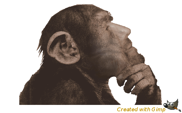 Selbstporträt, Descartes lässt grüßen